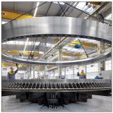 High quality China manufacture single beam cranes used double row angular contact ball bearing slew ring